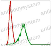 Anti-DLK1 Antibody (R3P89)