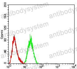 Anti-ARF1 Antibody (R3P99)
