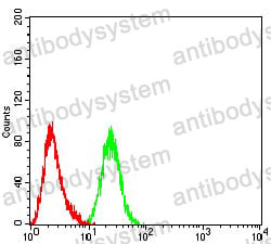Anti-ARF1 Antibody (R3P98)