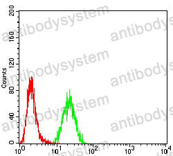 Anti-DAB2/DOC2 Antibody (R3Q01)
