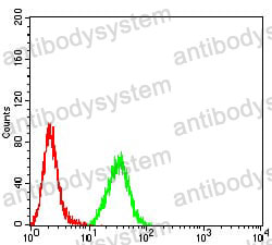 Anti-MUC5AC Antibody (R3Q02)
