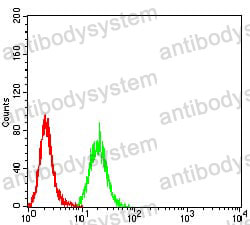 Anti-MUC5AC Antibody (R3Q03)