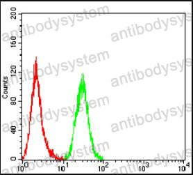Anti-XIAP Antibody (R3Q06)