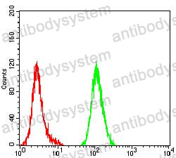 Anti-CYCS Antibody (R3Q09)
