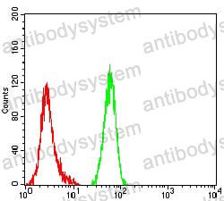Anti-CYCS Antibody (R3Q10)