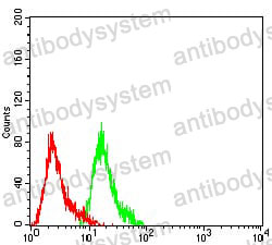 Anti-NFKB2 Antibody (R3Q18)