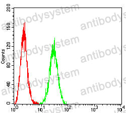 Anti-B4GALNT1 Antibody (R3Q22)