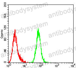 Anti-MDM2 Antibody (R3Q26)