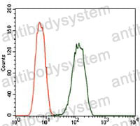 Anti-PDE1B Antibody (R3Q28)