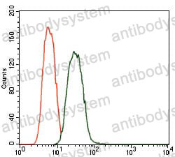 Anti-PDE1B Antibody (R3Q29)