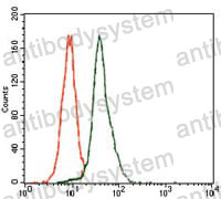 Anti-E2F1/RBBP3 Antibody (R3Q30)