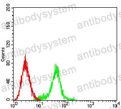 Anti-CD129/IL9R Antibody (R3Q31)