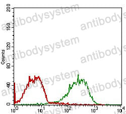 Anti-RELB Antibody (R3Q36)