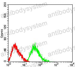 Anti-CD125/IL5RA Antibody (R3Q37)
