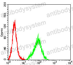 Anti-FLI1 Antibody (R3Q39)