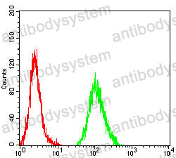 Anti-FLI1 Antibody (R3Q40)