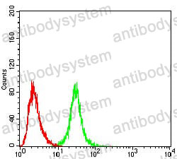 Anti-OTUD4 Antibody (R3Q42)