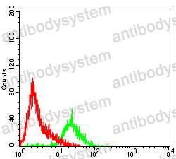 Anti-XPC Antibody (R3Q44)