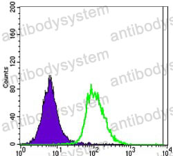 Anti-POU5F1/OCT3/OCT4 Antibody (R3Q46)