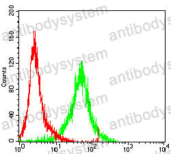 Anti-POU5F1/OCT3/OCT4 Antibody (R3Q48)