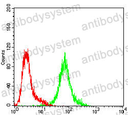 Anti-POU5F1/OCT3/OCT4 Antibody (R3Q49)