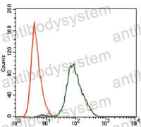 Anti-SPIB Antibody (R3Q50)