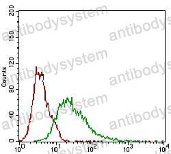 Anti-ROR2 Antibody (R3Q52)