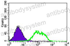 Anti-GUCY1A3 Antibody (R3Q54)