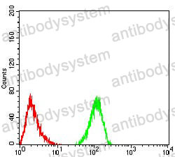 Anti-ALDH6A1 Antibody (R3Q57)