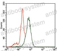 Anti-ID2 Antibody (R3Q59)