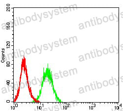 Anti-CD202b/TEK/TIE-2 Antibody (R3Q66)