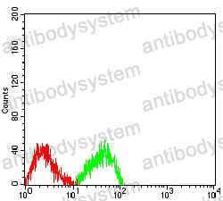 Anti-MUC2 Antibody (R3Q67)