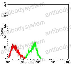 Anti-MUC2 Antibody (R3Q68)