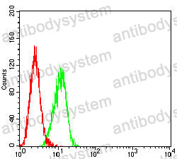 Anti-MUC2 Antibody (R3Q69)