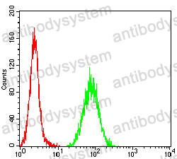Anti-MUC2 Antibody (R3Q70)