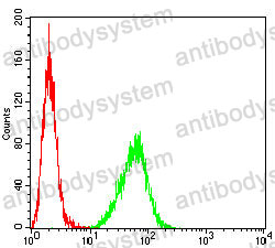 Anti-KMT2A Antibody (R3Q76)