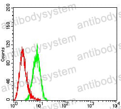 Anti-FOLH1/PSMA Antibody (R3Q92)