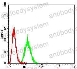 Anti-ACVR1/ALK-2 Antibody (R3Q99)