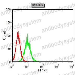 Anti-AKR1C1 Antibody (R3R02)