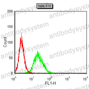Anti-AKR1C1 Antibody (R3R03)
