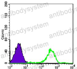 Anti-PTK2 Antibody (R3R14)