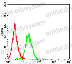 Anti-ZP2 Antibody (R3R21)