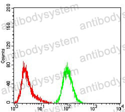 Anti-GFPT1 Antibody (R3R24)