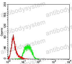 Anti-TYRO3/DTK/SYK Antibody (R3R31)