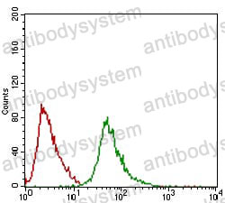 Anti-RING1 Antibody (R3R33)