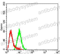 Anti-CHRND Antibody (R3R43)