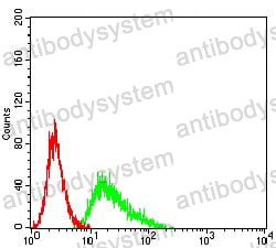 Anti-CD137/TNFRSF9/4-1BB Antibody (R3R44)