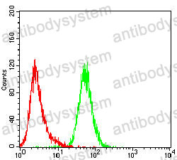 Anti-CXCL9/MIG Antibody (R3R48)