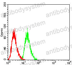 Anti-CXCL9/MIG Antibody (R3R50)