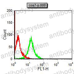 Anti-BAX Antibody (R3R51)